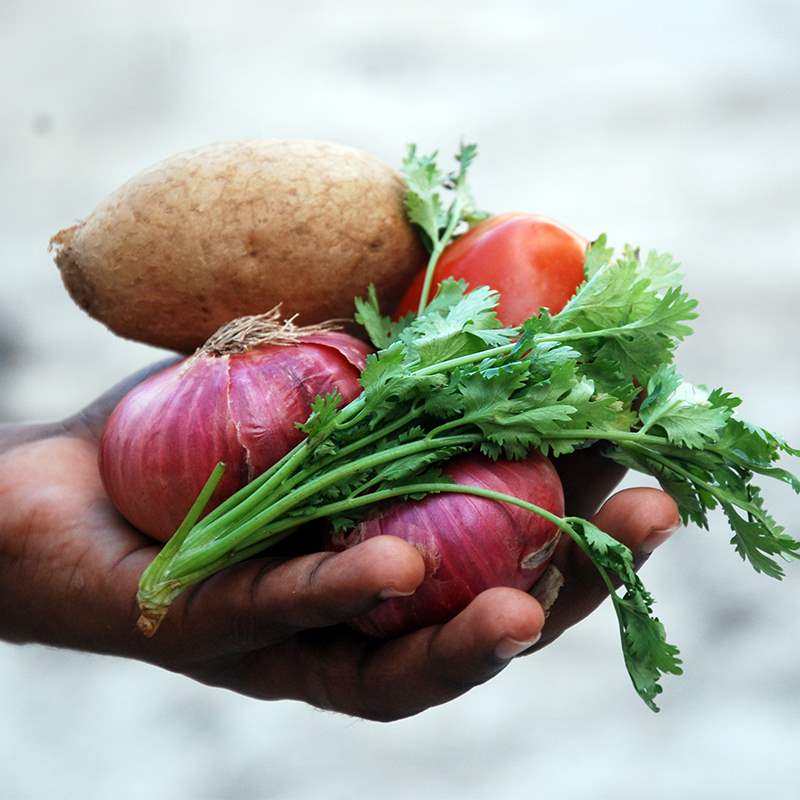 Apply Now at Fresh & Save Food Warehouse